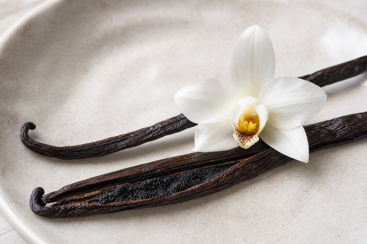 Vanilla